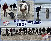 Nieuwjaars duik 2022