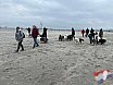 Nieuwjaars duik 2022