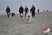 Nieuwjaars duik 2022