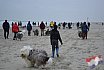 Nieuwjaars duik 2022