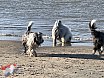 Wandeling Noordwijk