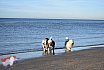Wandeling Noordwijk