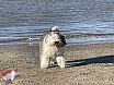 Wandeling Noordwijk