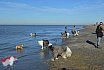 Wandeling Noordwijk