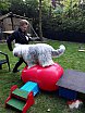 Sportief!