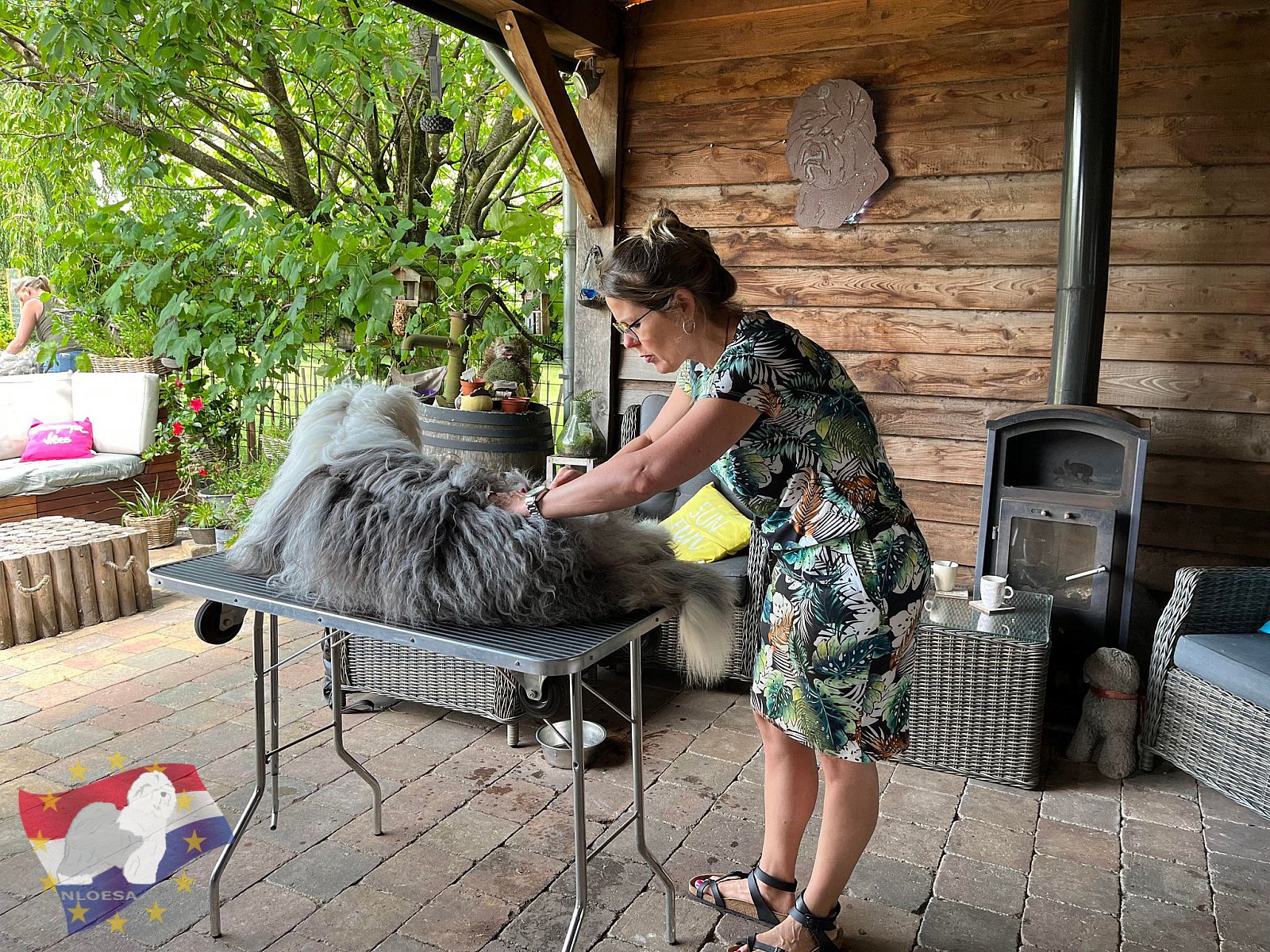 Grooming workshop