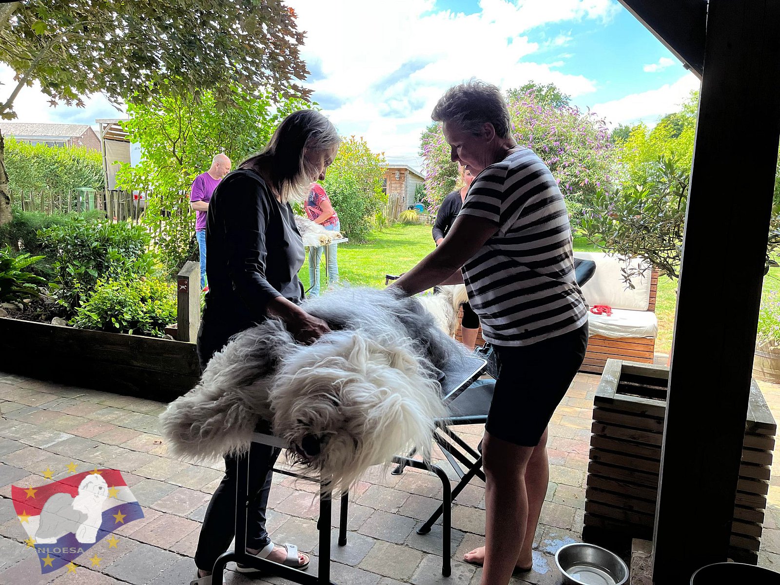 Grooming workshop