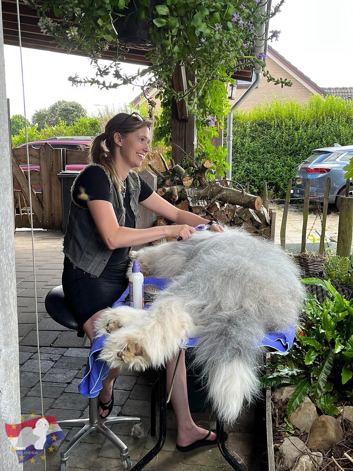 Grooming workshop