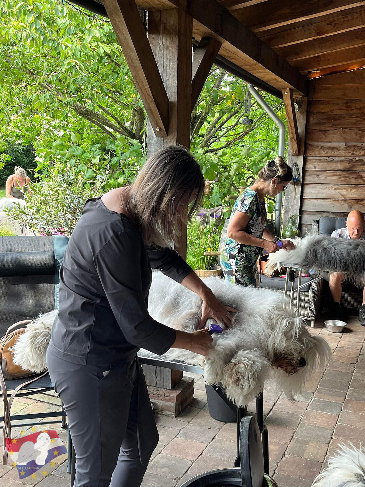 Grooming workshop