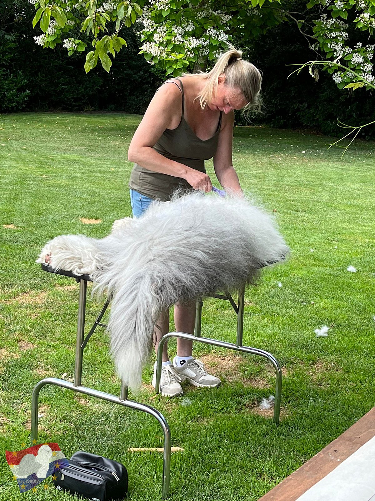 Grooming workshop