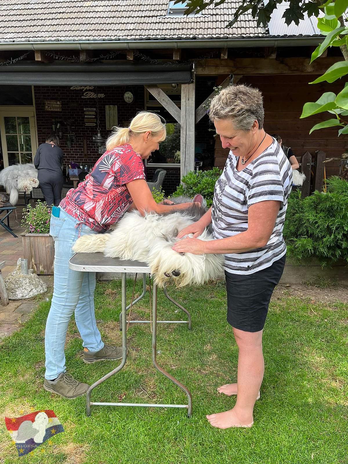 Grooming workshop