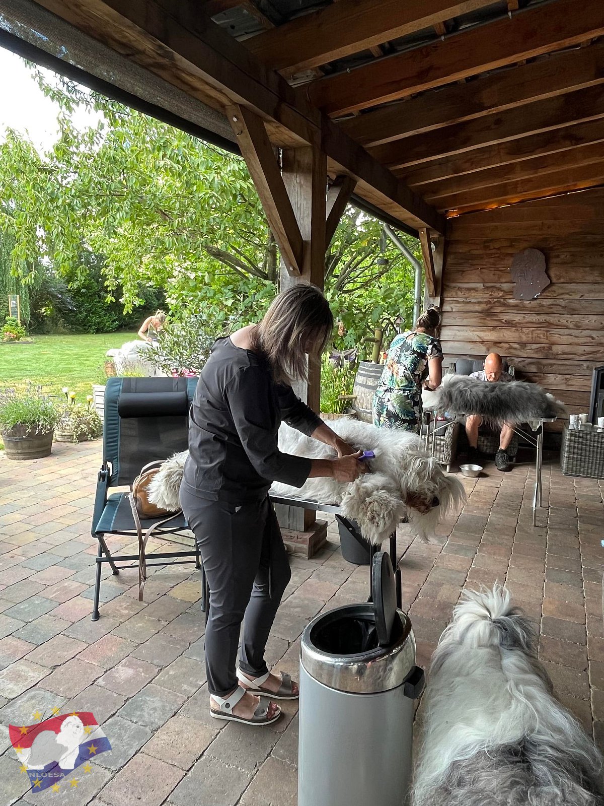 Grooming workshop