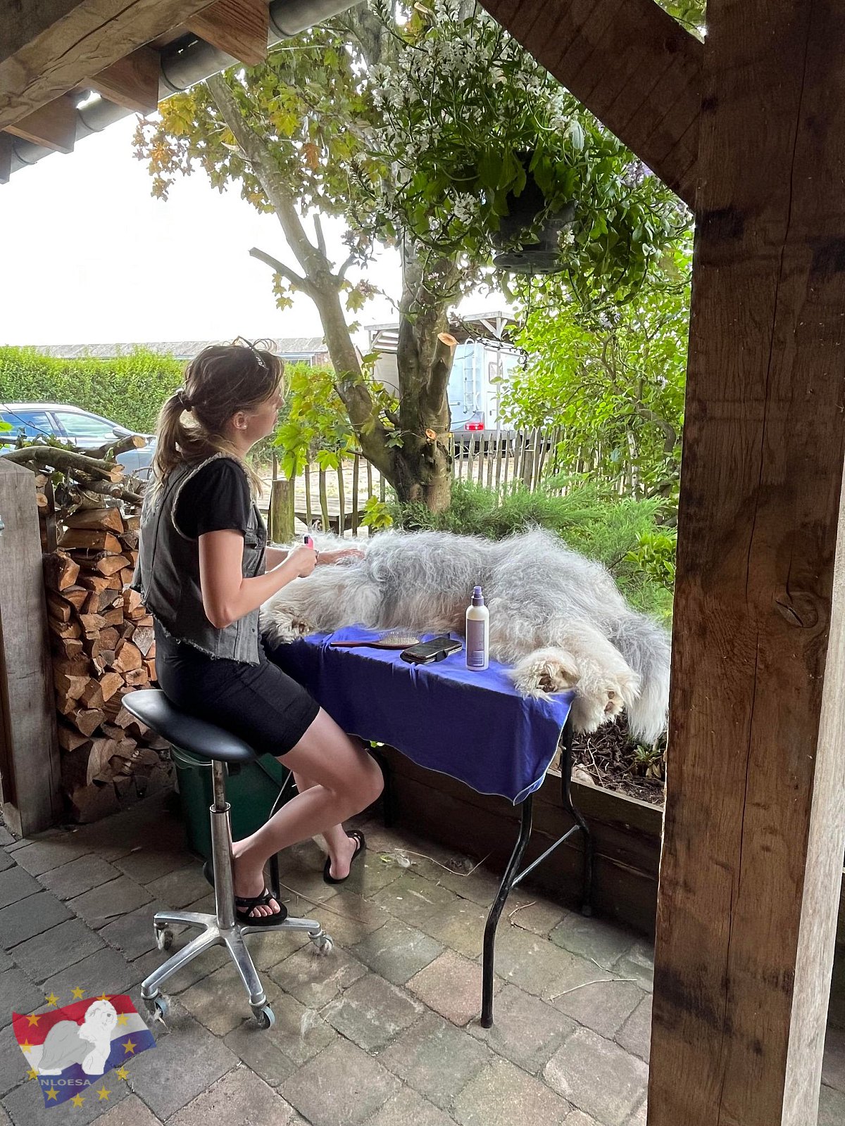 Grooming workshop