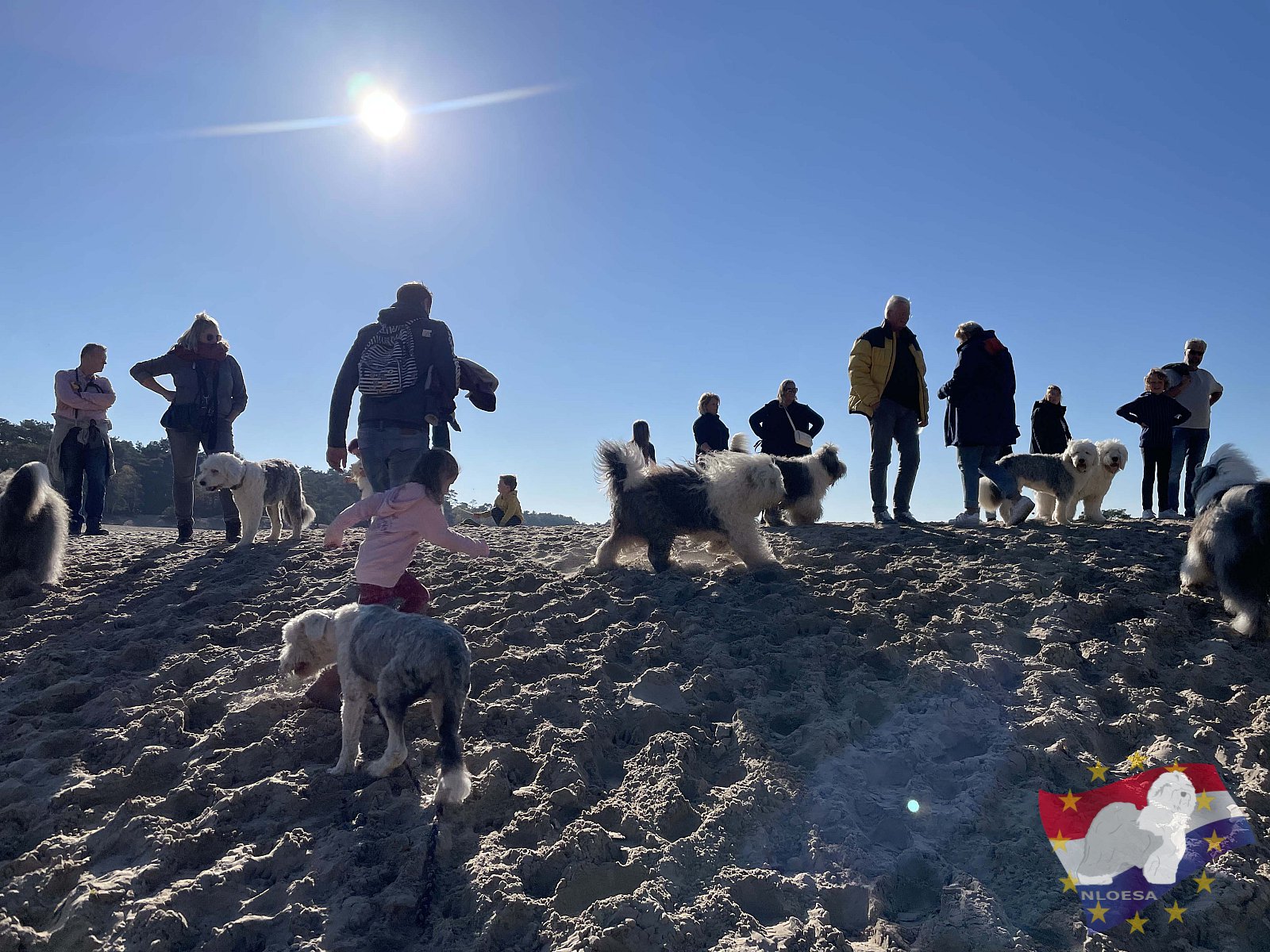 Wandeling Soesterduinen