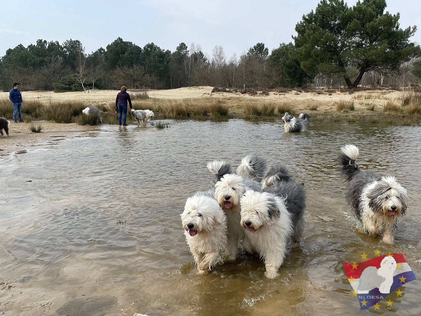 Lente wandeling