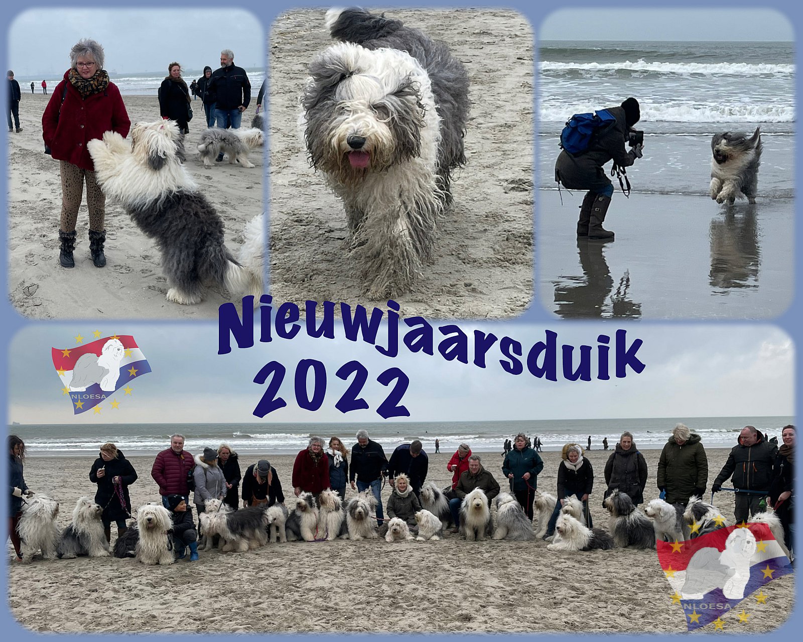 Nieuwjaars duik 2022