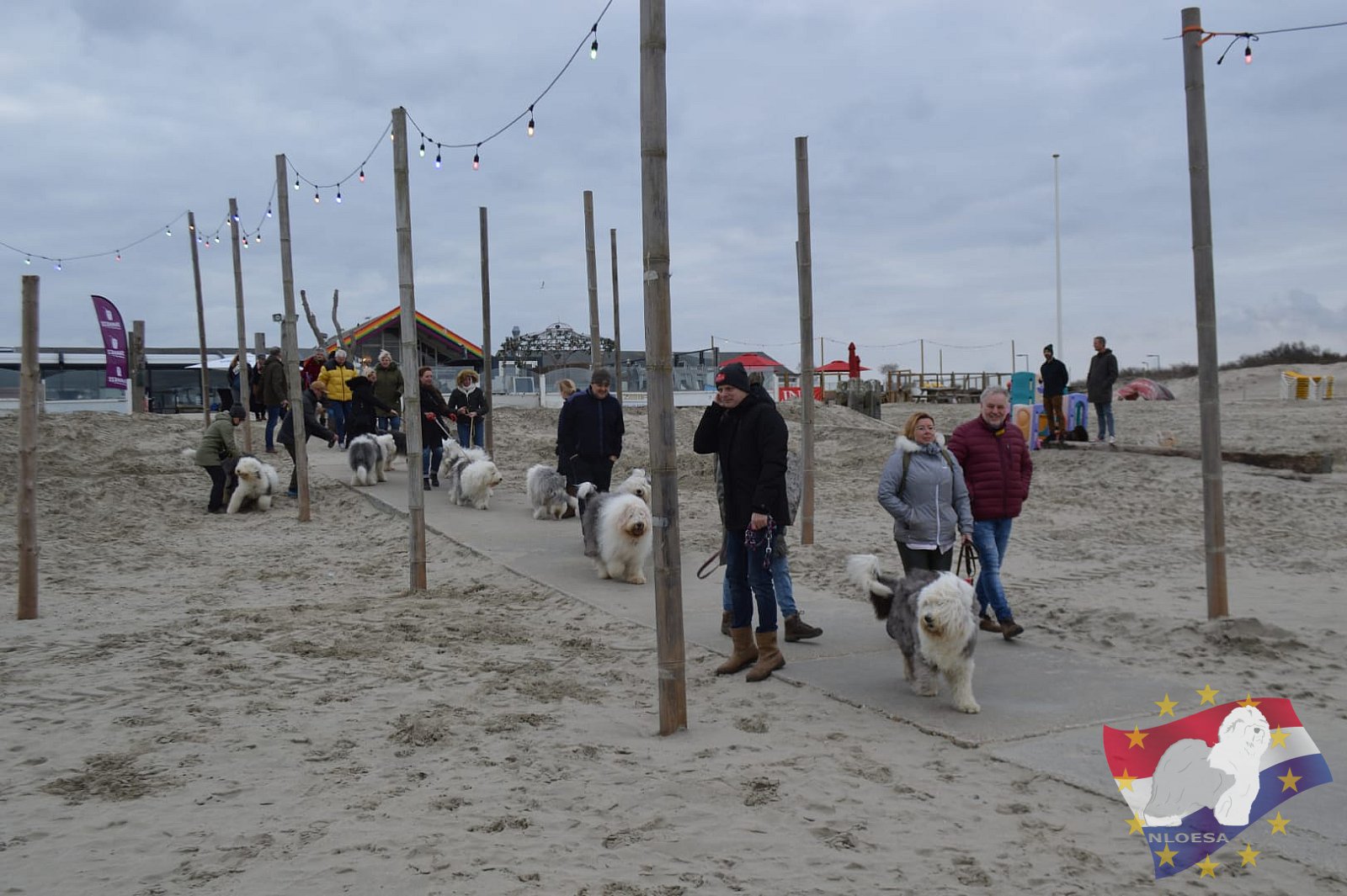 Nieuwjaars duik 2022