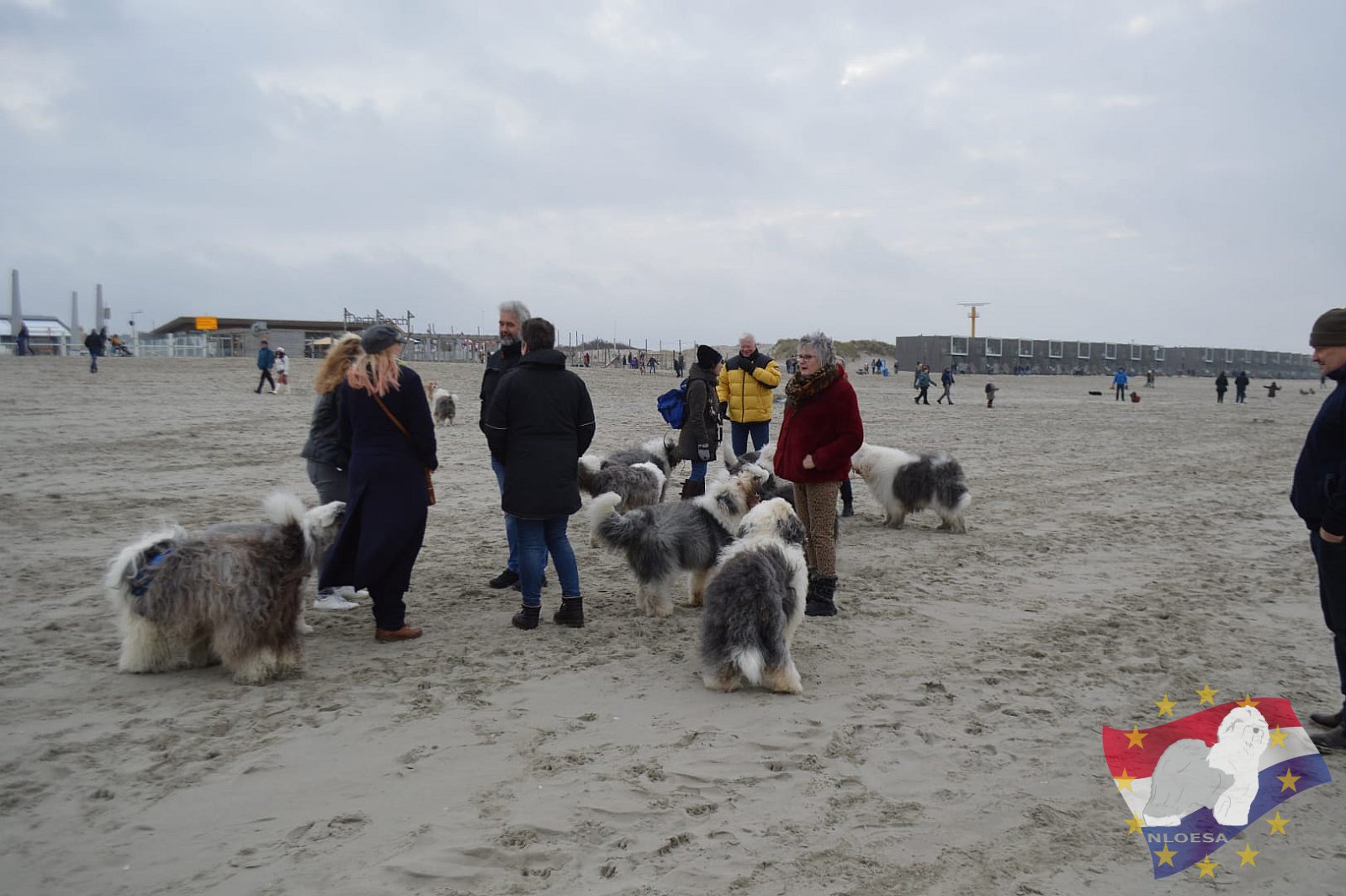 Nieuwjaars duik 2022