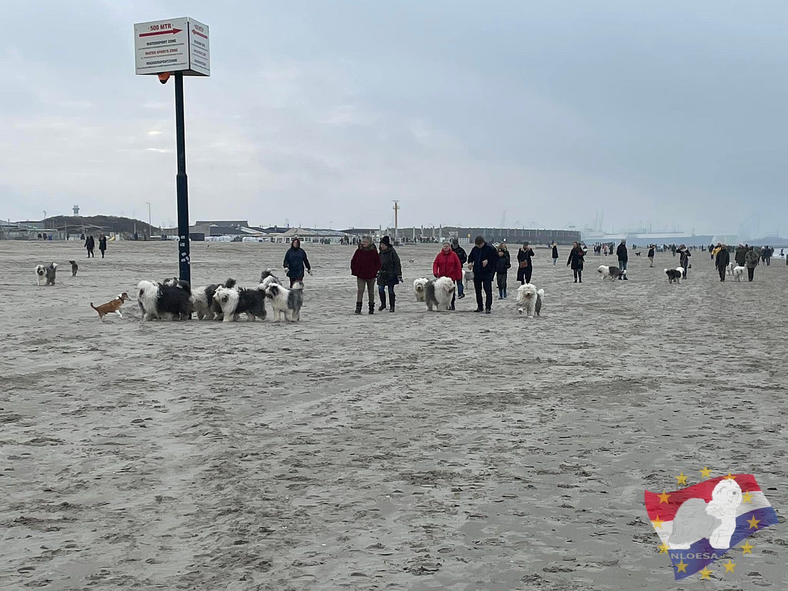 Nieuwjaars duik 2022