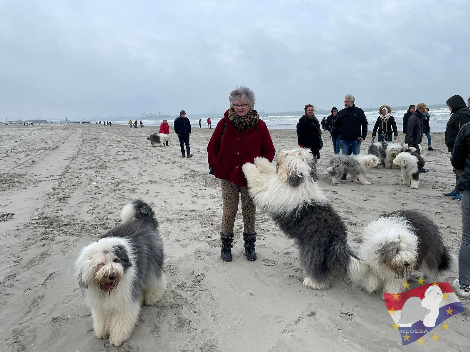 Nieuwjaars duik 2022