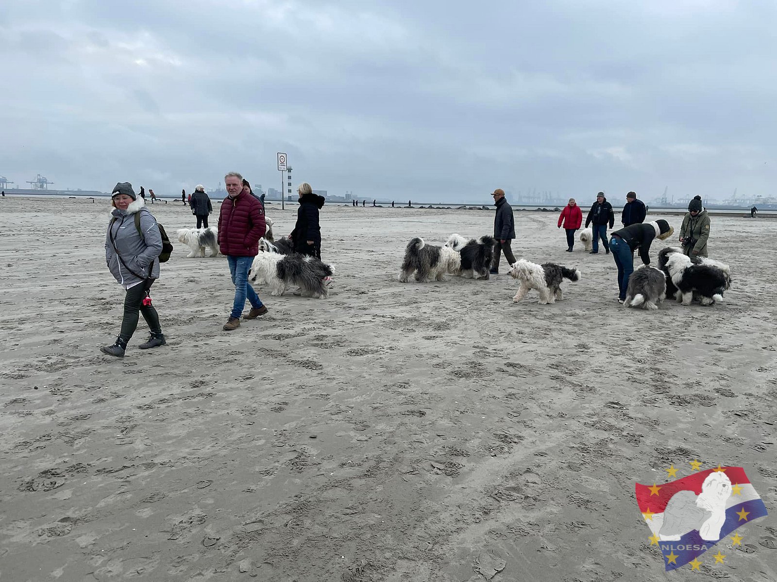 Nieuwjaars duik 2022