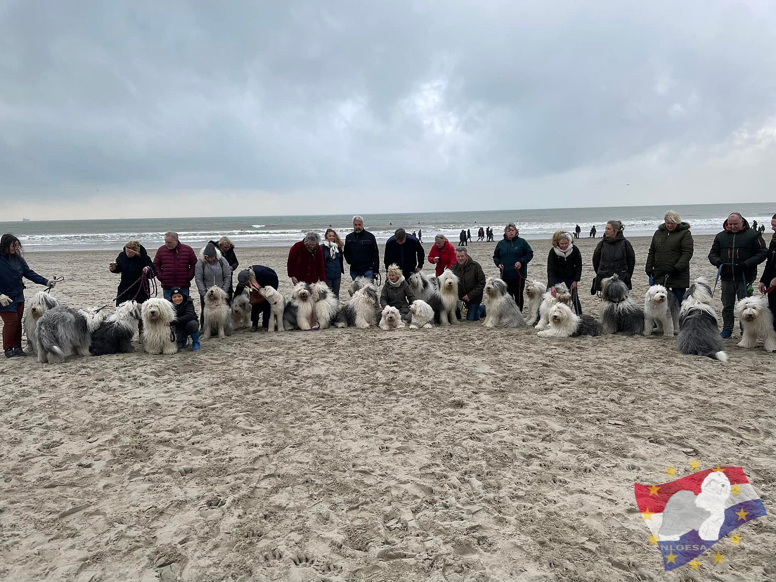 Nieuwjaars duik 2022