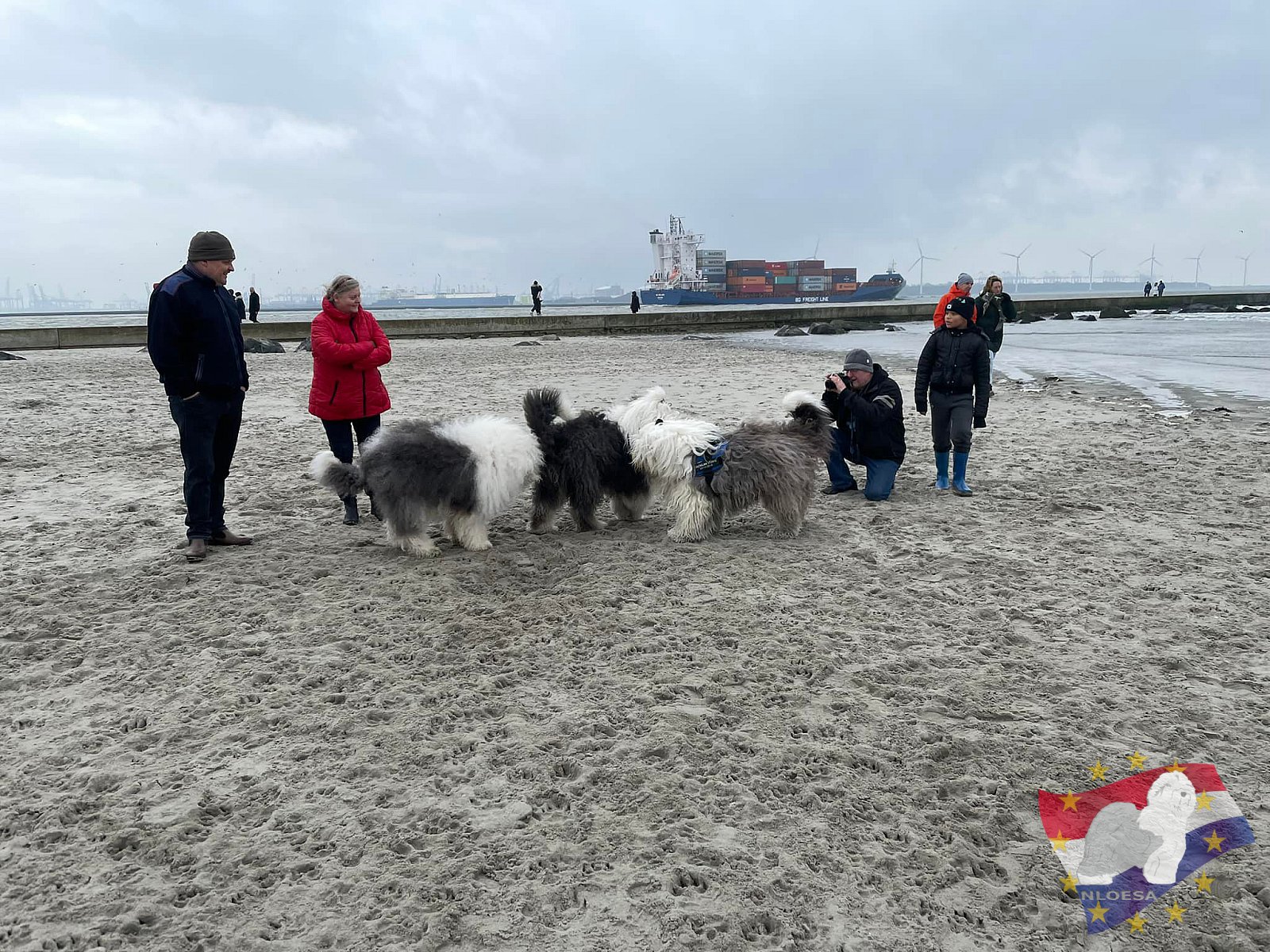 Nieuwjaars duik 2022