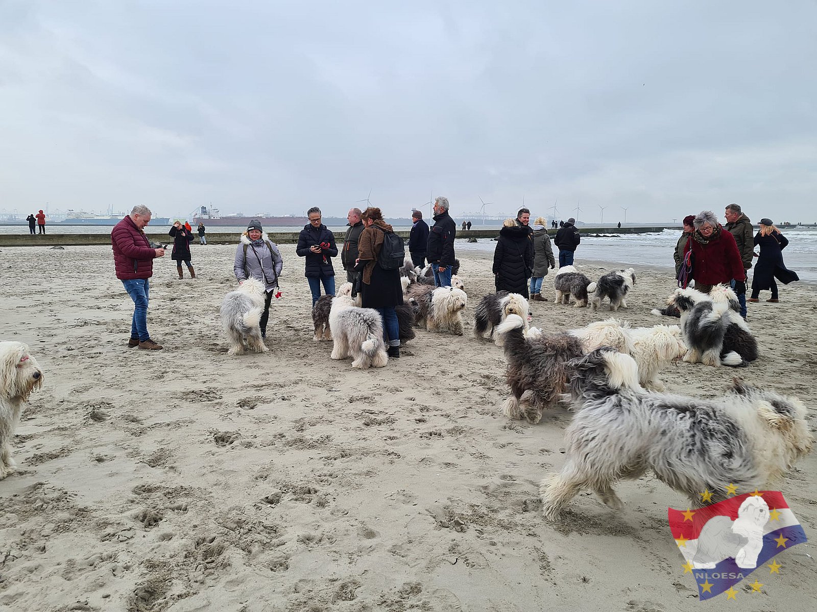 Nieuwjaars duik 2022