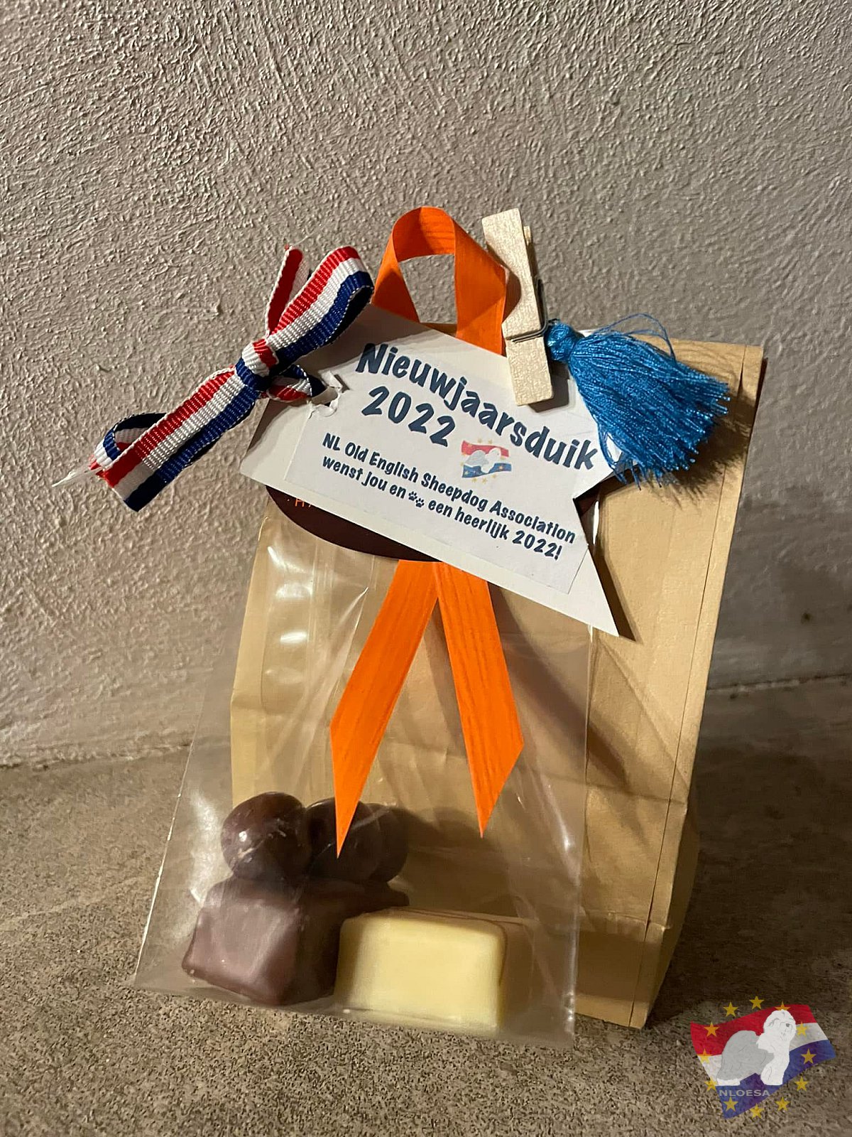 Nieuwjaars duik 2022