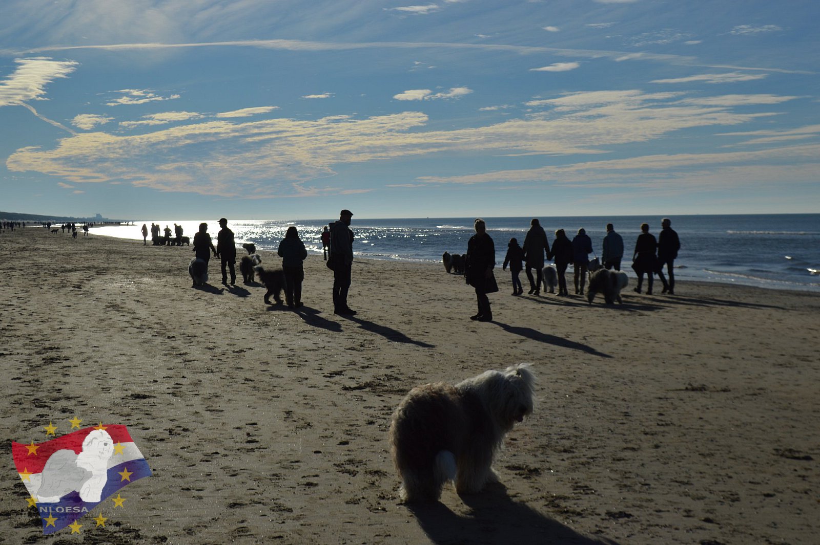 Wandeling Noordwijk