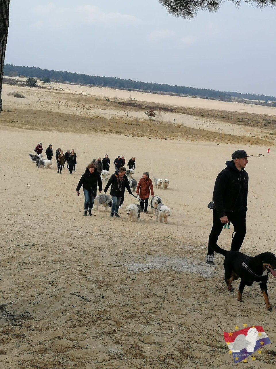 Lente wandeling