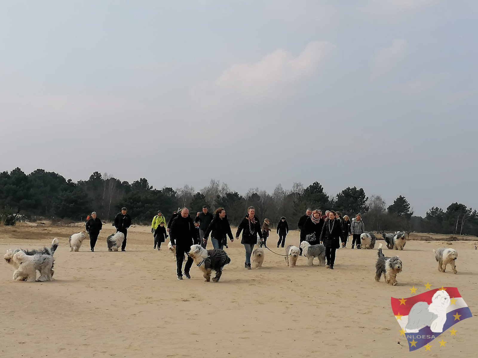 Lente wandeling