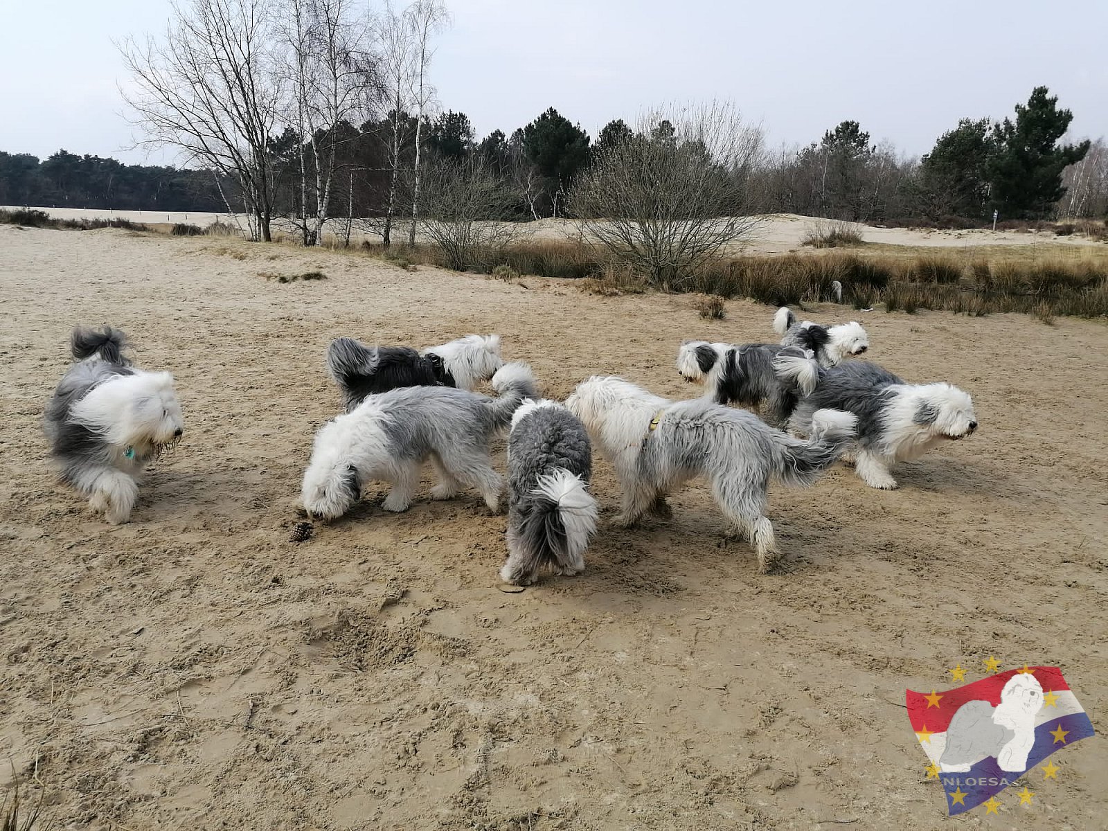 Lente wandeling