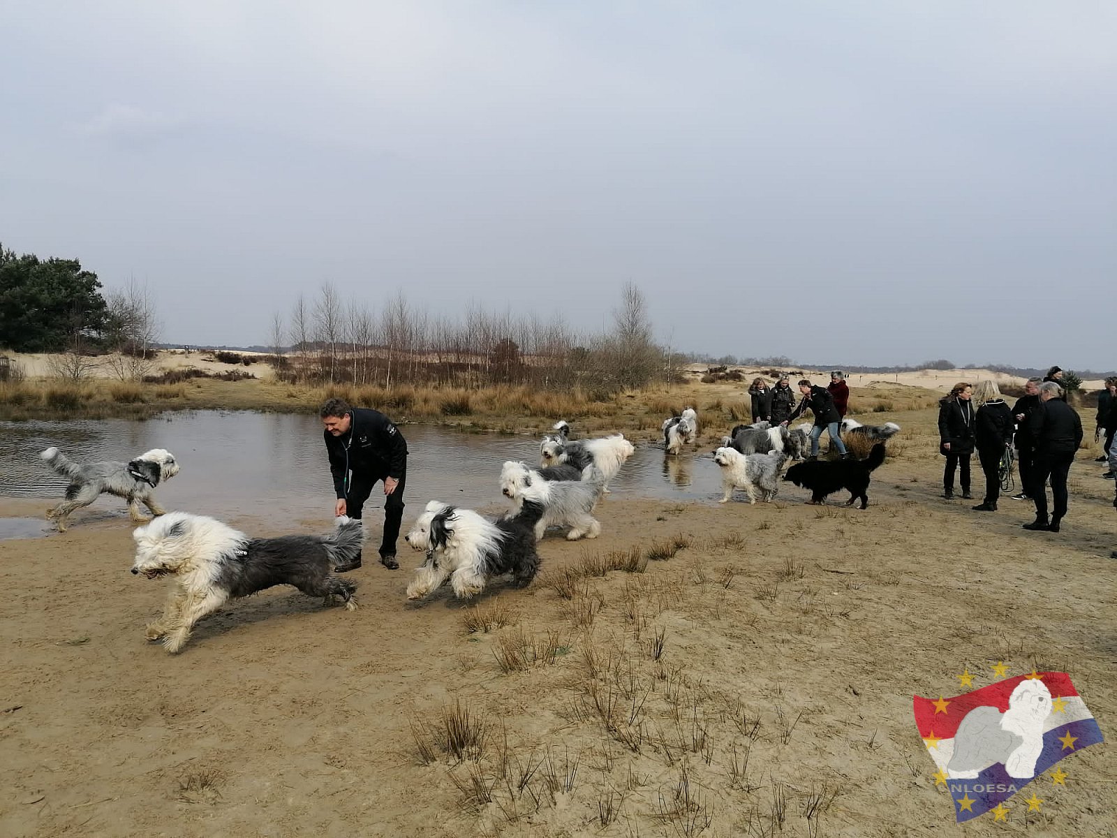 Lente wandeling