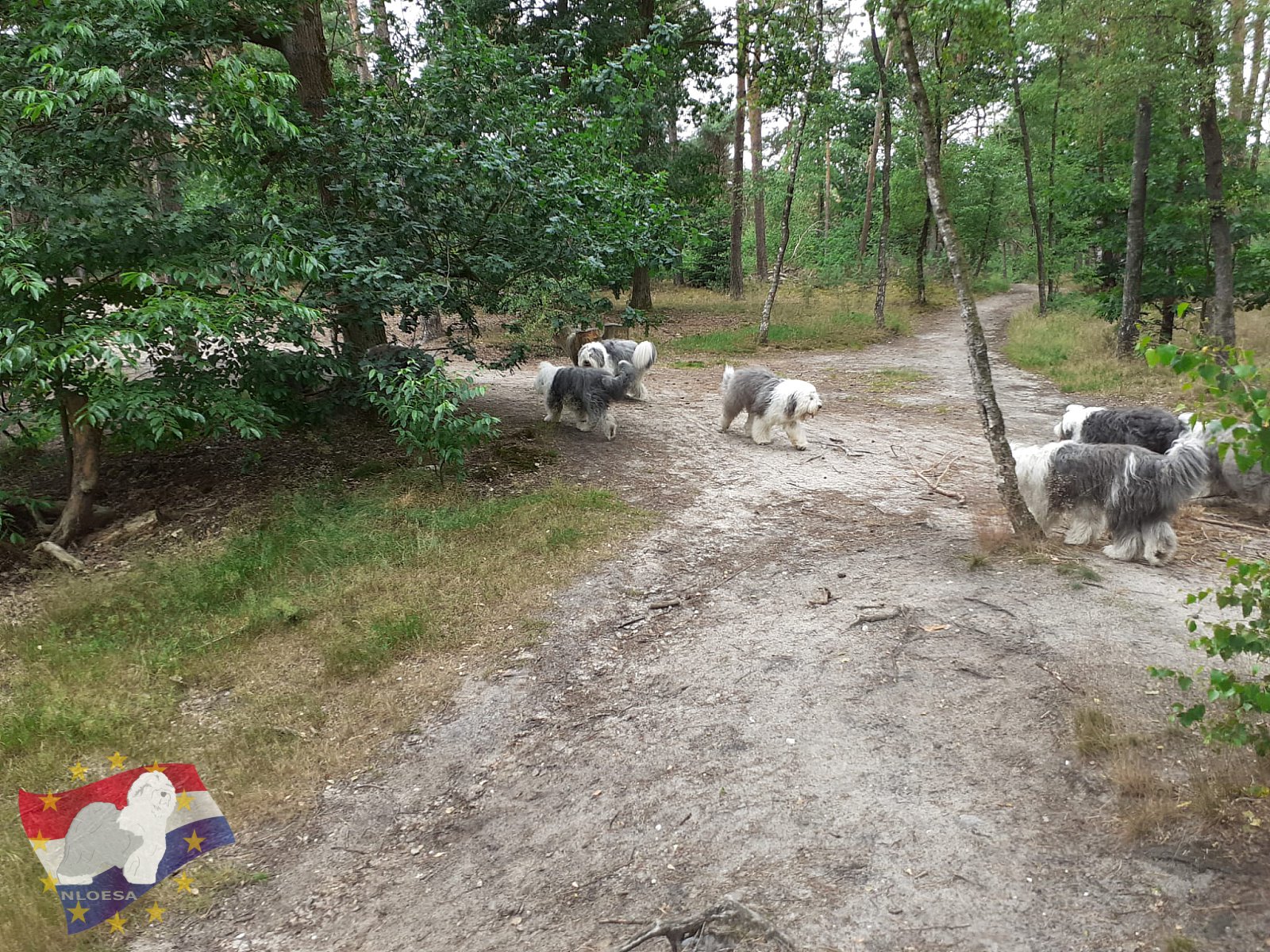 Wandeling Hellendoorn