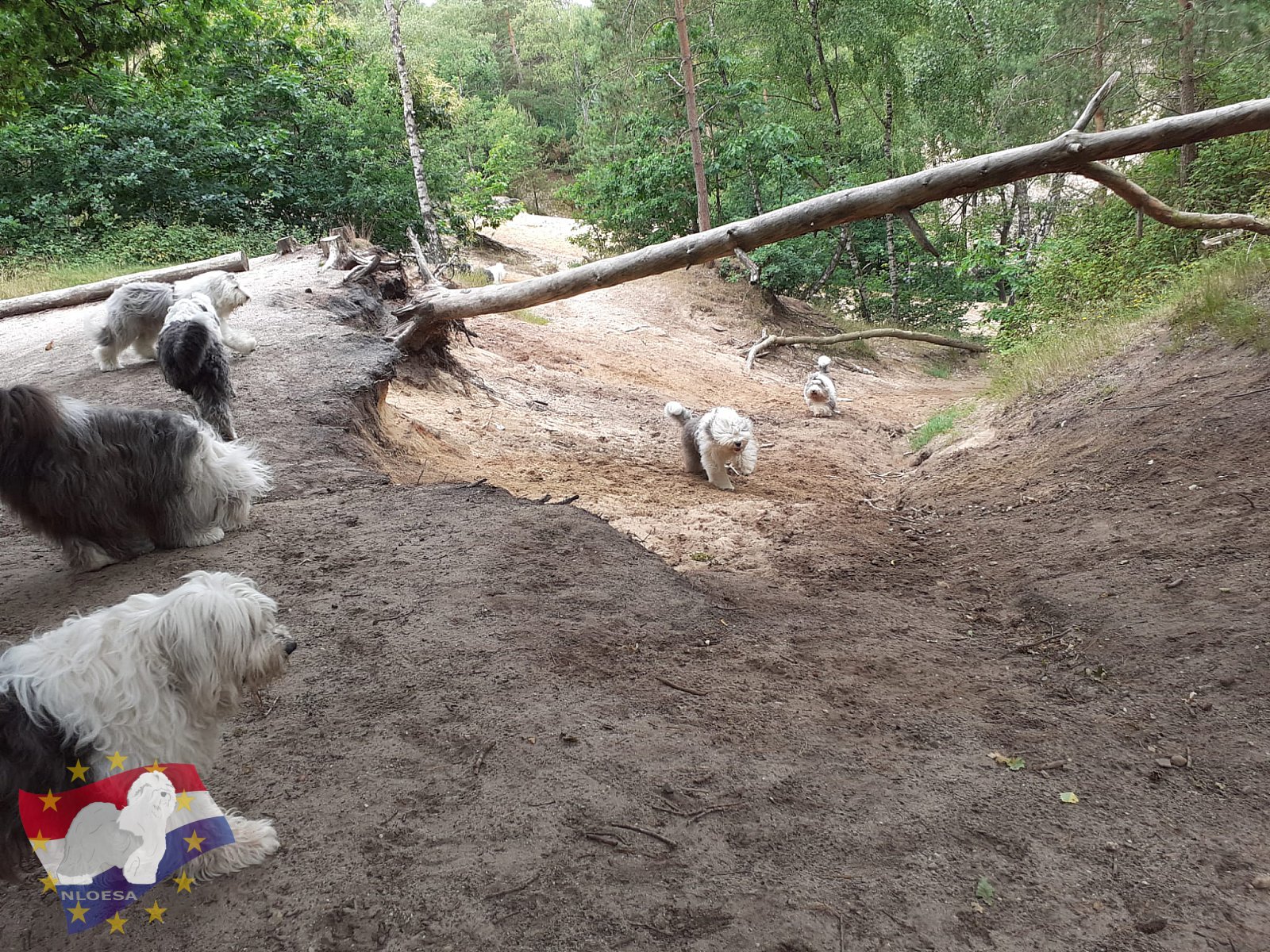 Wandeling Hellendoorn