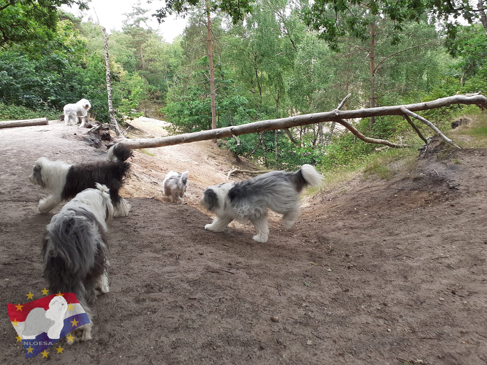 Wandeling Hellendoorn