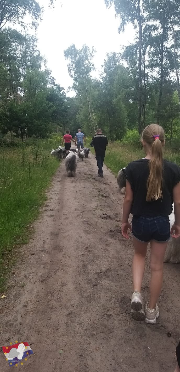 Wandeling Hellendoorn