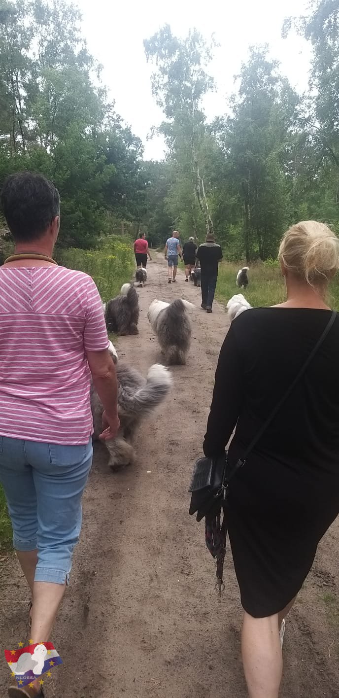 Wandeling Hellendoorn