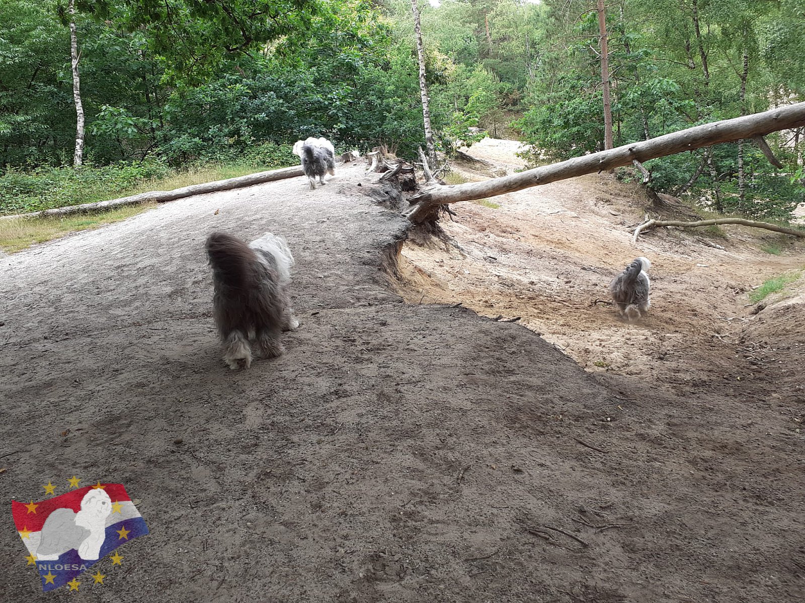 Wandeling Hellendoorn