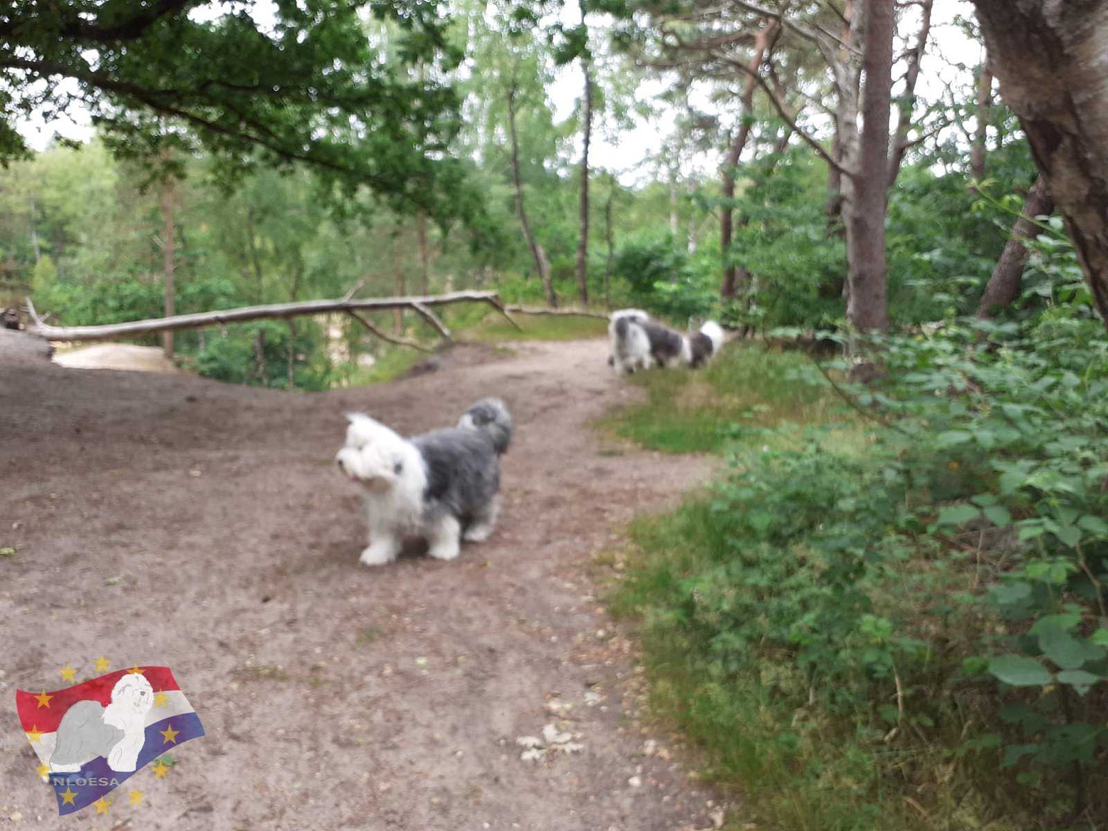 Wandeling Hellendoorn