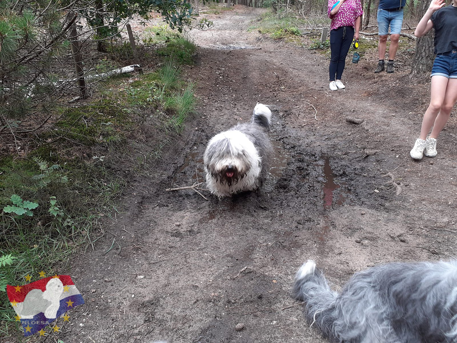 Wandeling Hellendoorn