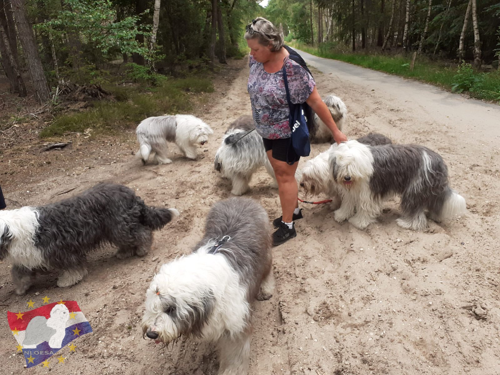 Wandeling Hellendoorn