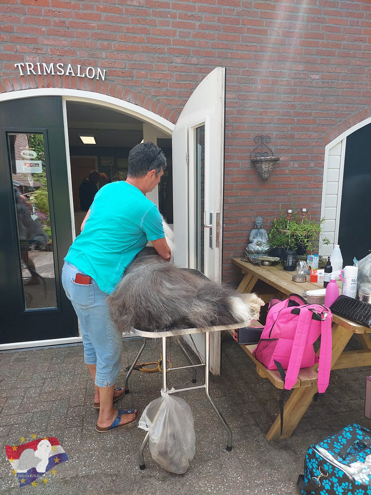 Grooming workshop
