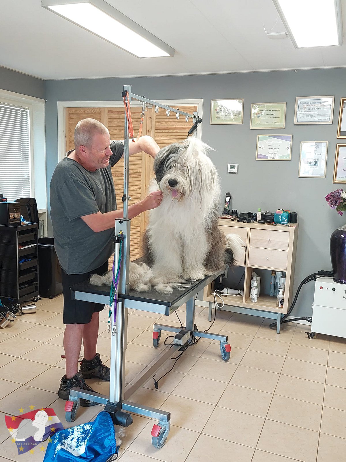 Grooming workshop