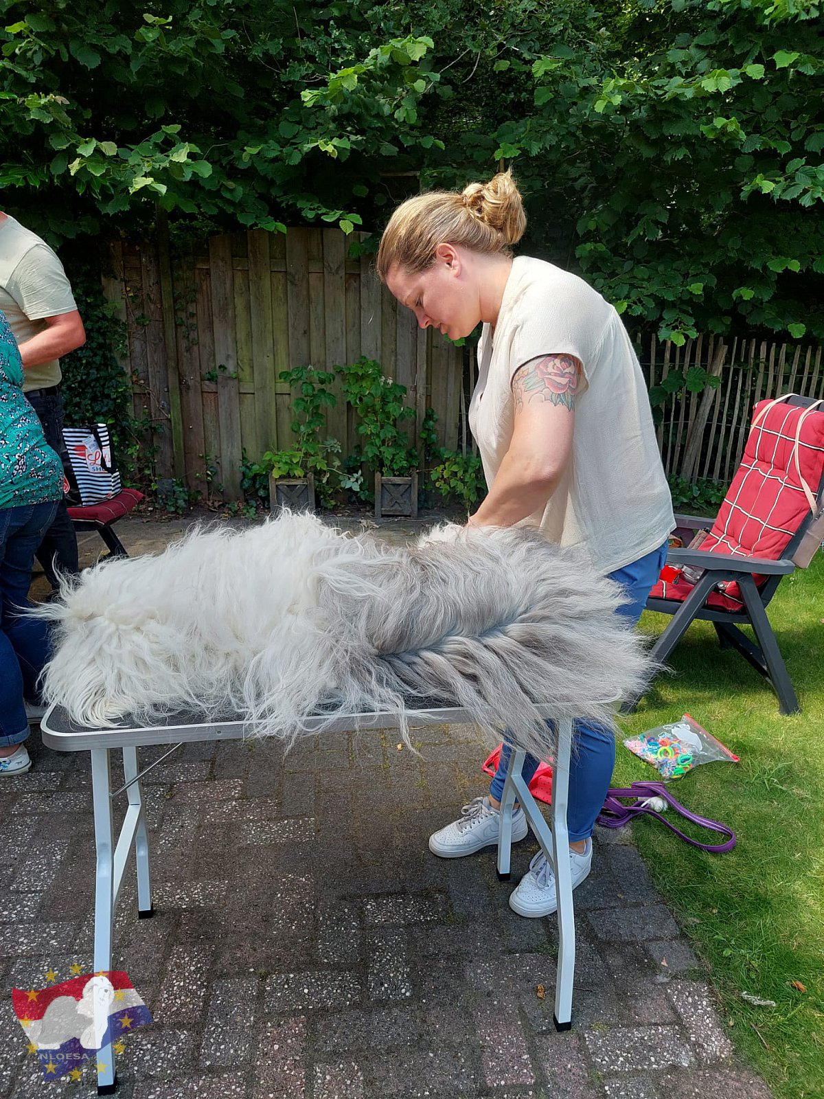 Grooming workshop