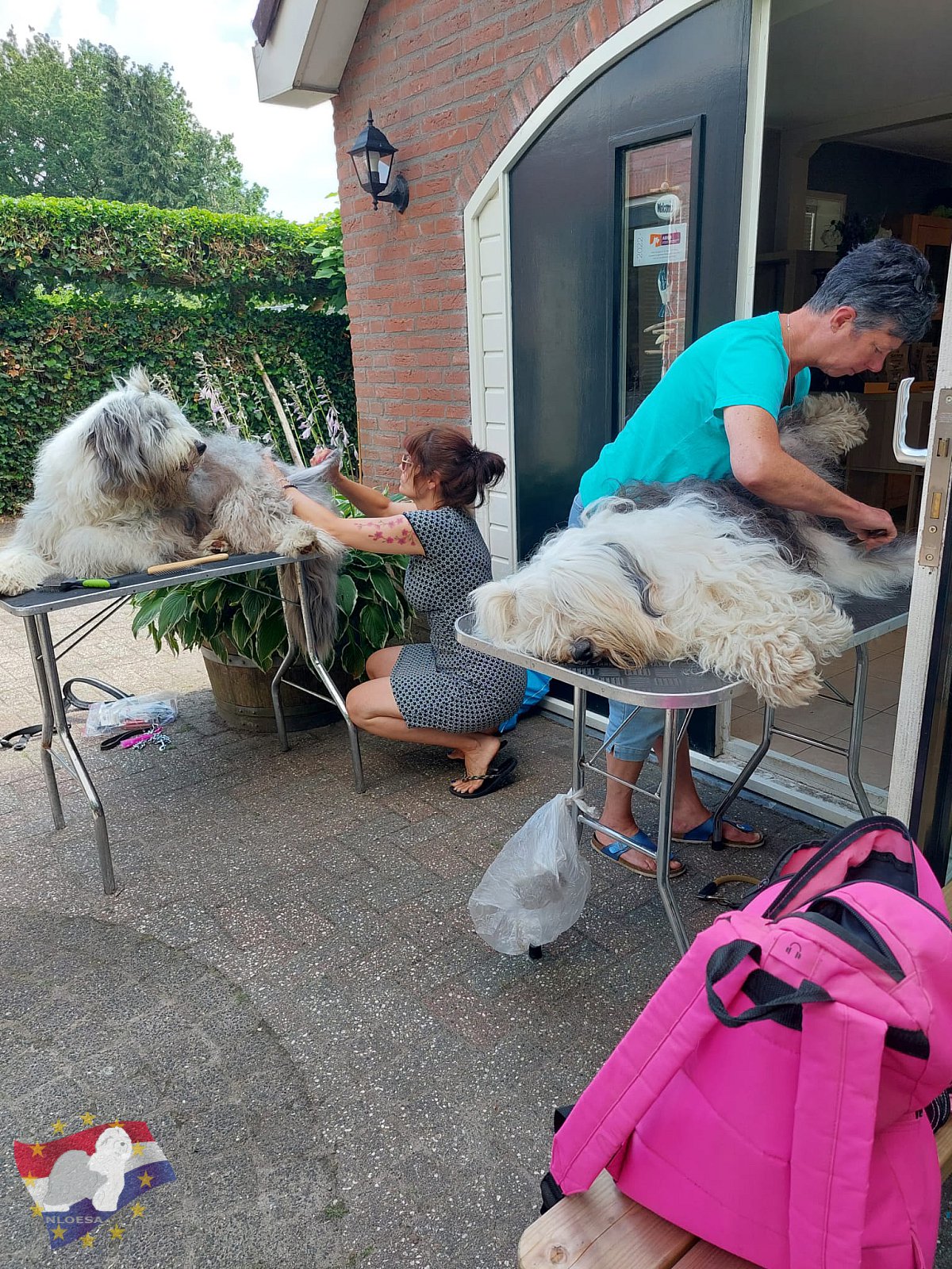 Grooming workshop