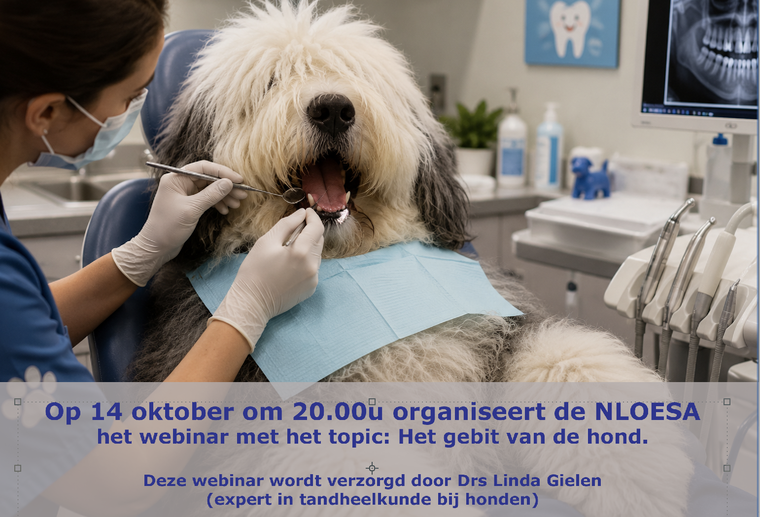 Webinar 
