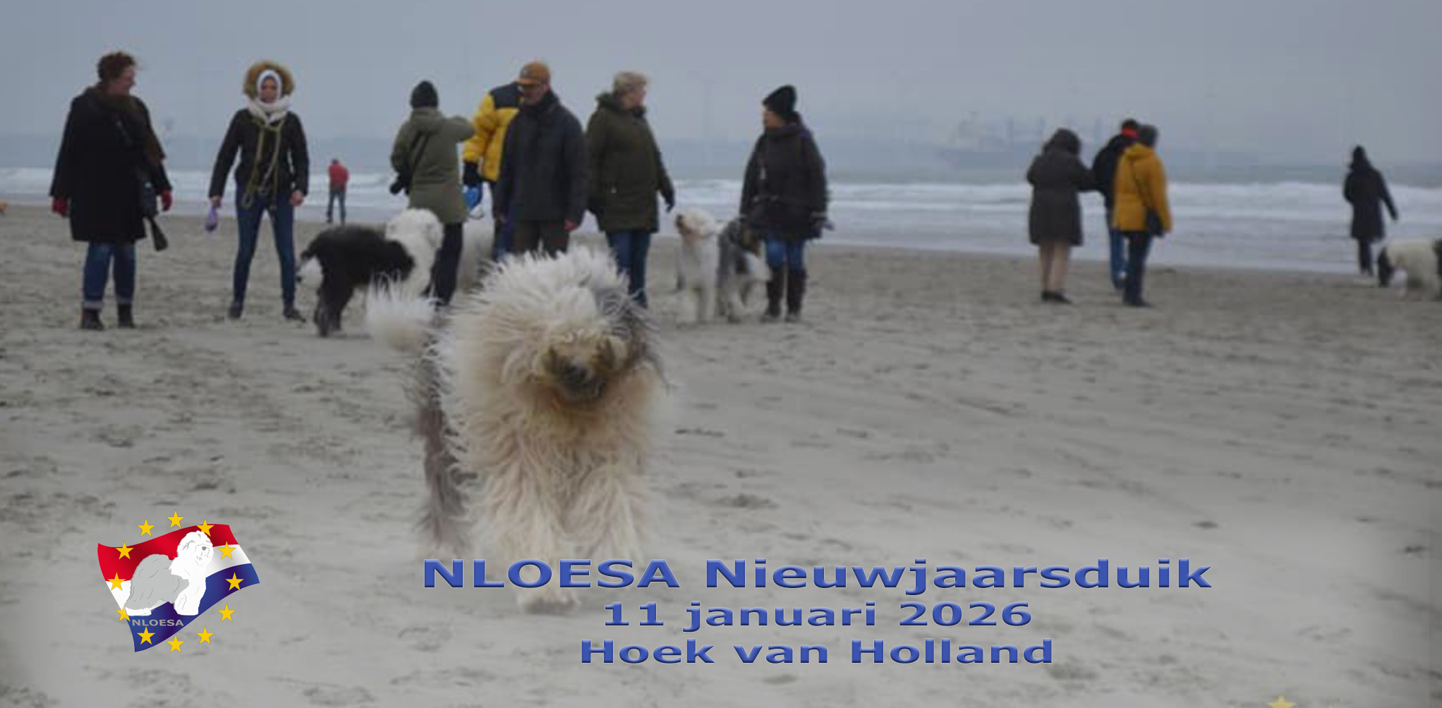 Nieuwjaarsduik '26!