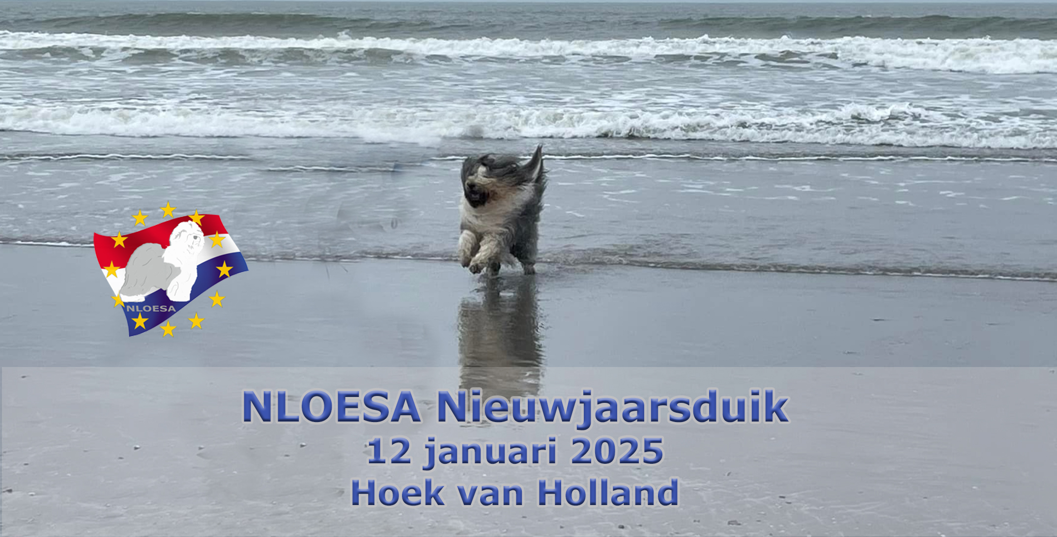 Nieuwjaarsduik